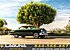 1951 Ford Custom for sale 100960371